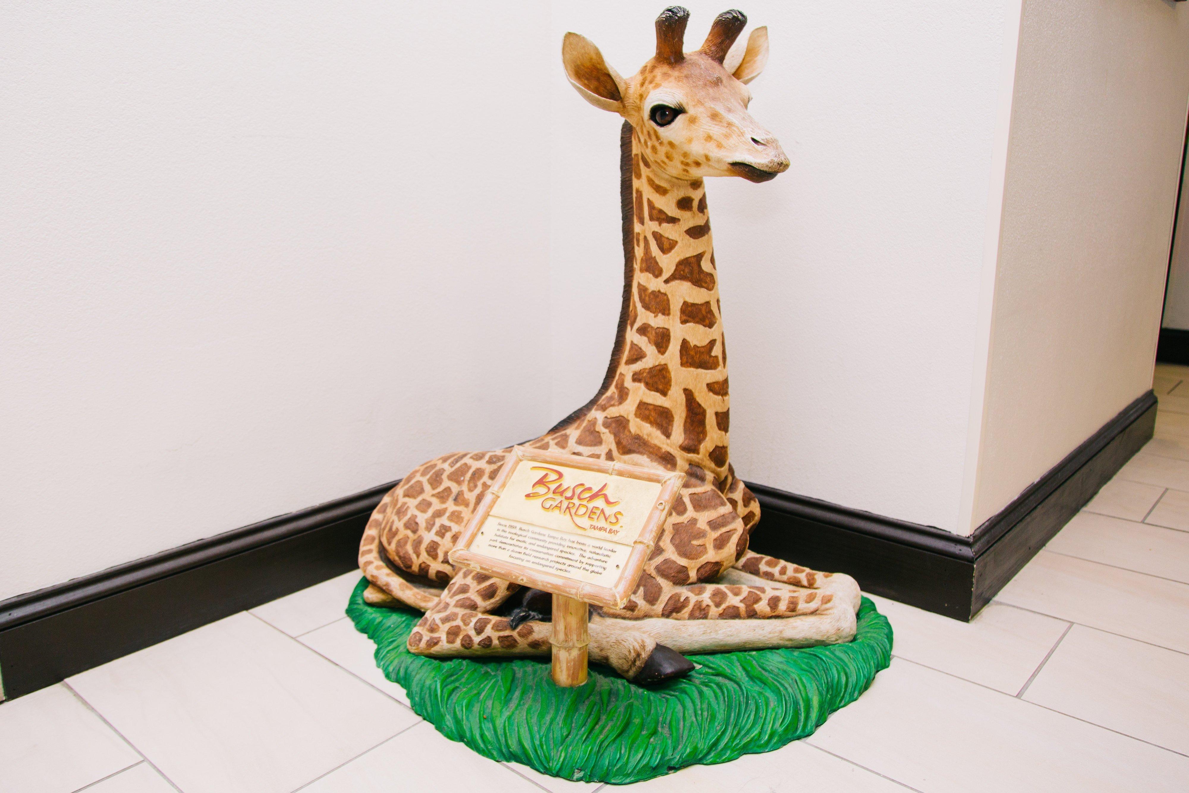 Holiday Inn Express Hotel & Suites Tampa-Usf-Busch Gardens By Ihg Ngoại thất bức ảnh