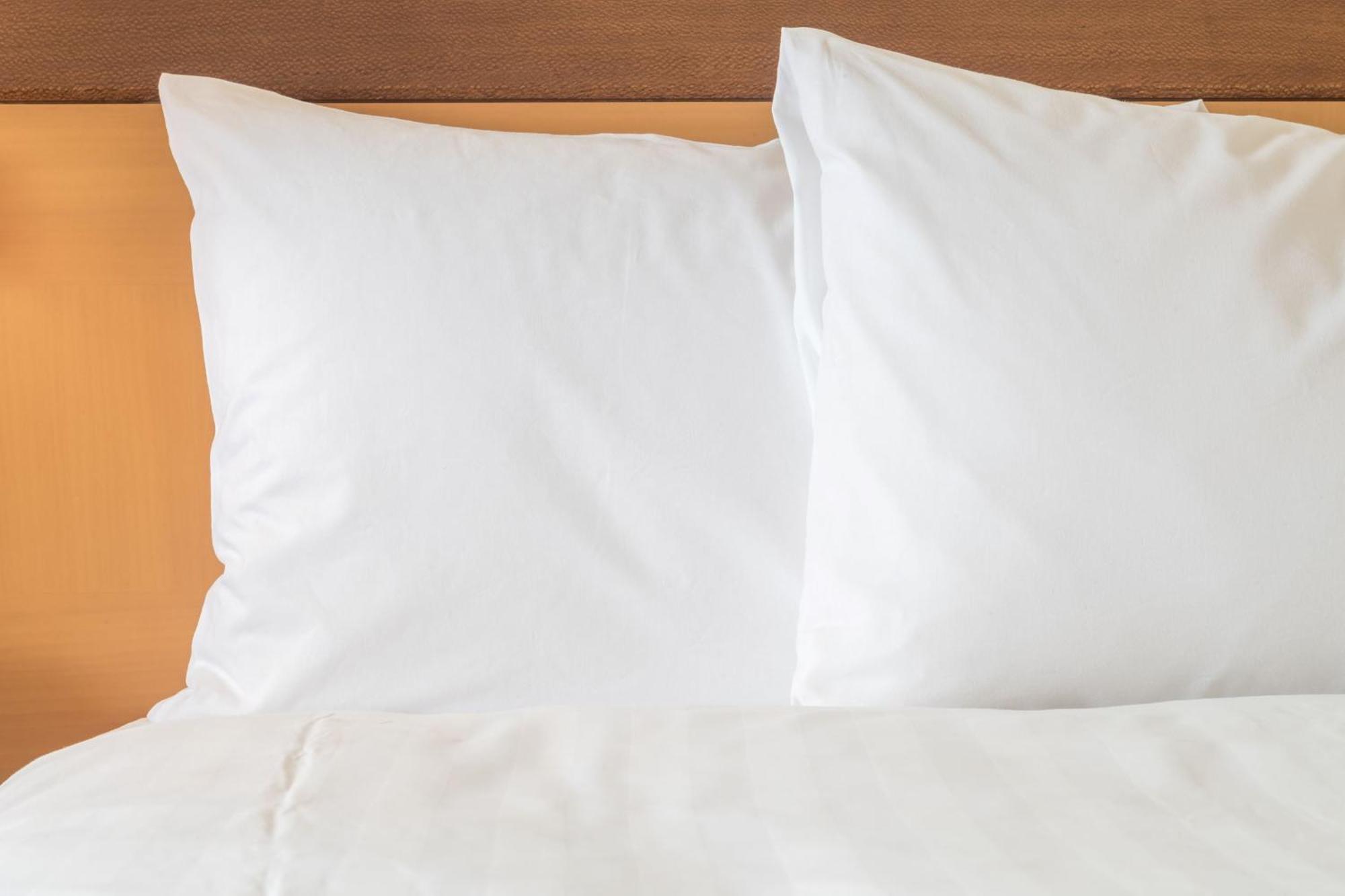 Holiday Inn Express Hotel & Suites Tampa-Usf-Busch Gardens By Ihg Ngoại thất bức ảnh