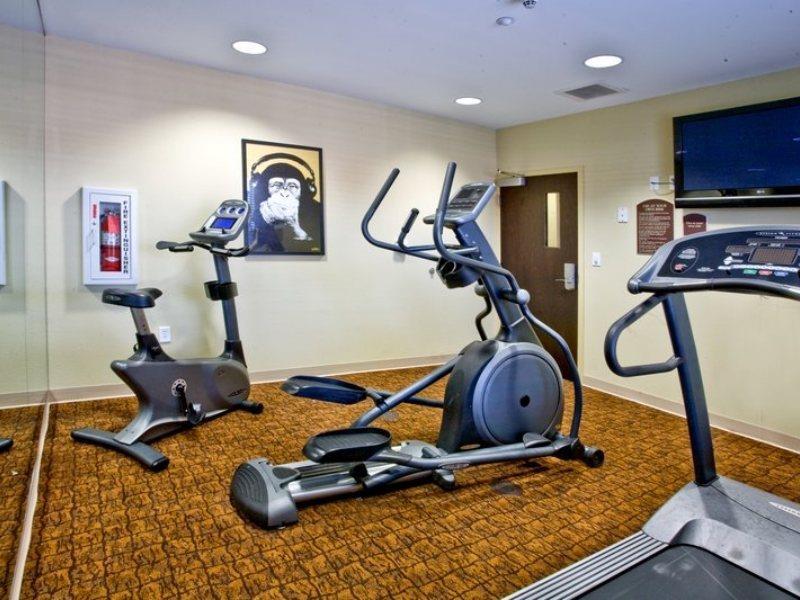 Holiday Inn Express Hotel & Suites Tampa-Usf-Busch Gardens By Ihg Ngoại thất bức ảnh