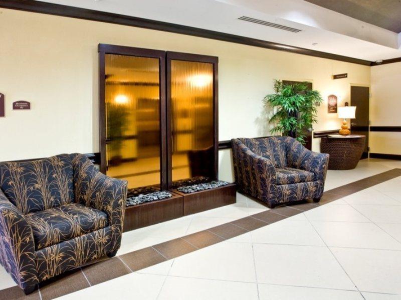 Holiday Inn Express Hotel & Suites Tampa-Usf-Busch Gardens By Ihg Ngoại thất bức ảnh