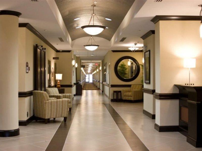 Holiday Inn Express Hotel & Suites Tampa-Usf-Busch Gardens By Ihg Ngoại thất bức ảnh