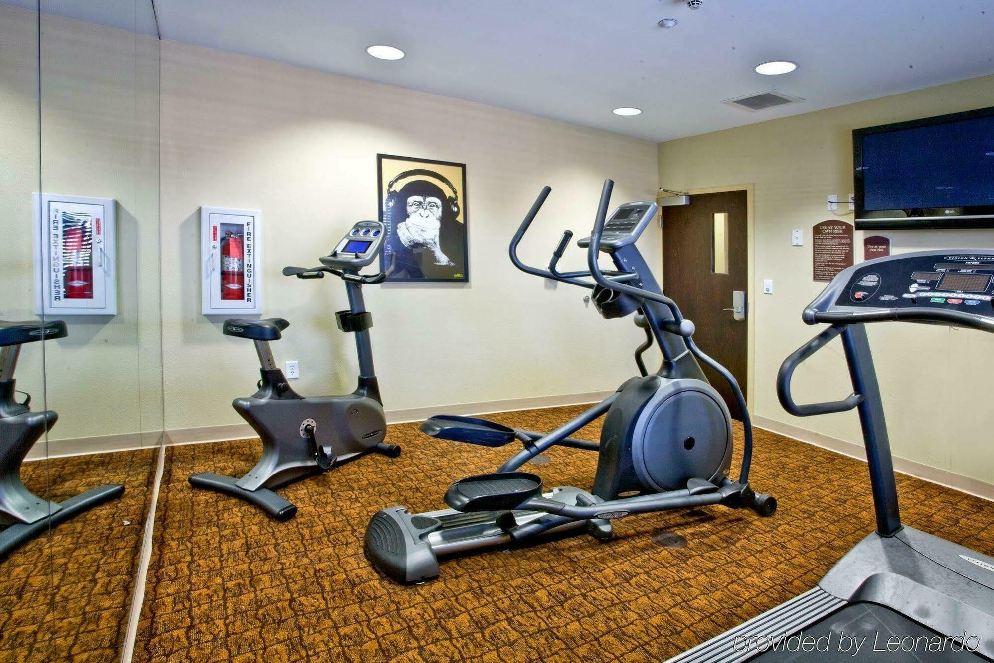 Holiday Inn Express Hotel & Suites Tampa-Usf-Busch Gardens By Ihg Ngoại thất bức ảnh